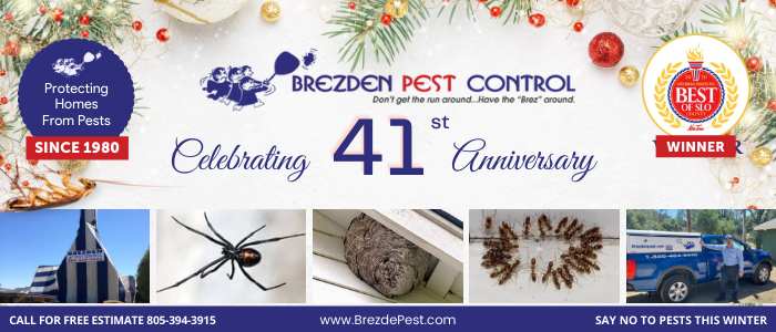 Pest Control Company Wishes Happy Holidays