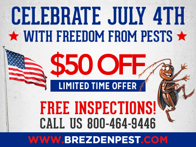 What’s Bugging Your Home This Fourth Of July?