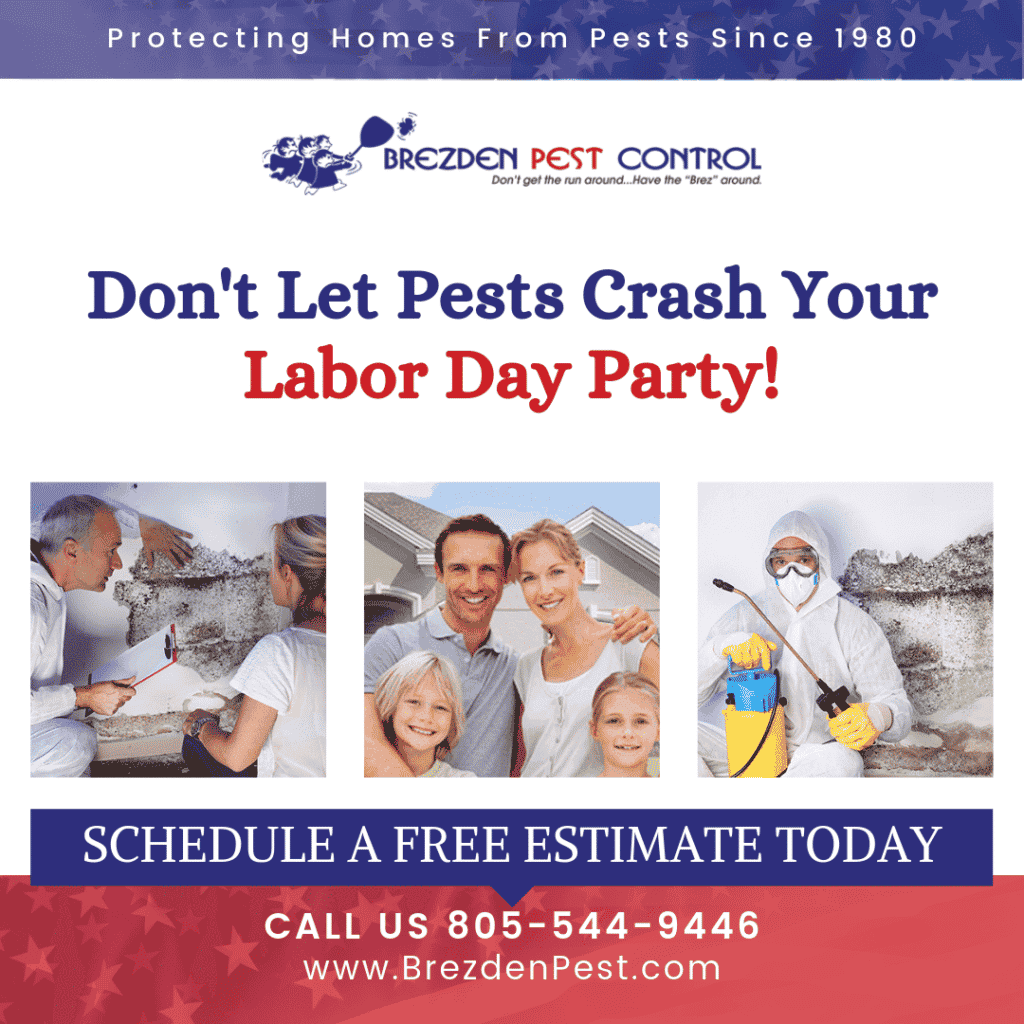 Happy Labor Day Weekend From Your Local Pest Control Company