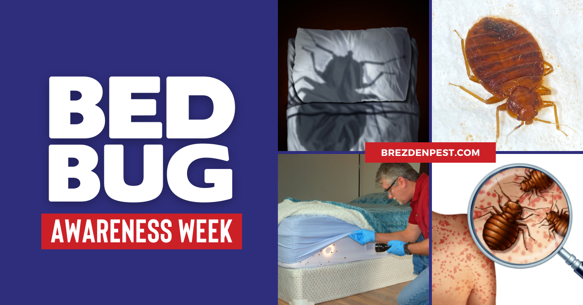 Bed Bugs & Dirty Clothes - Pest Control Technology