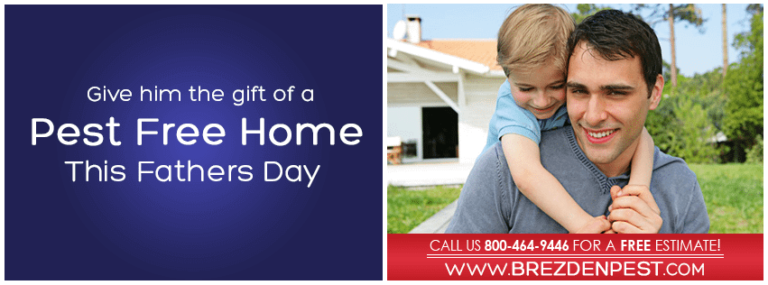 Fight Fleas And Ticks For Father’s Day