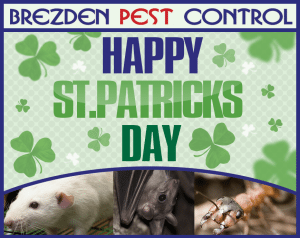 Get Rid Of Pests Like St. Patrick Got Rid Of The Snakes