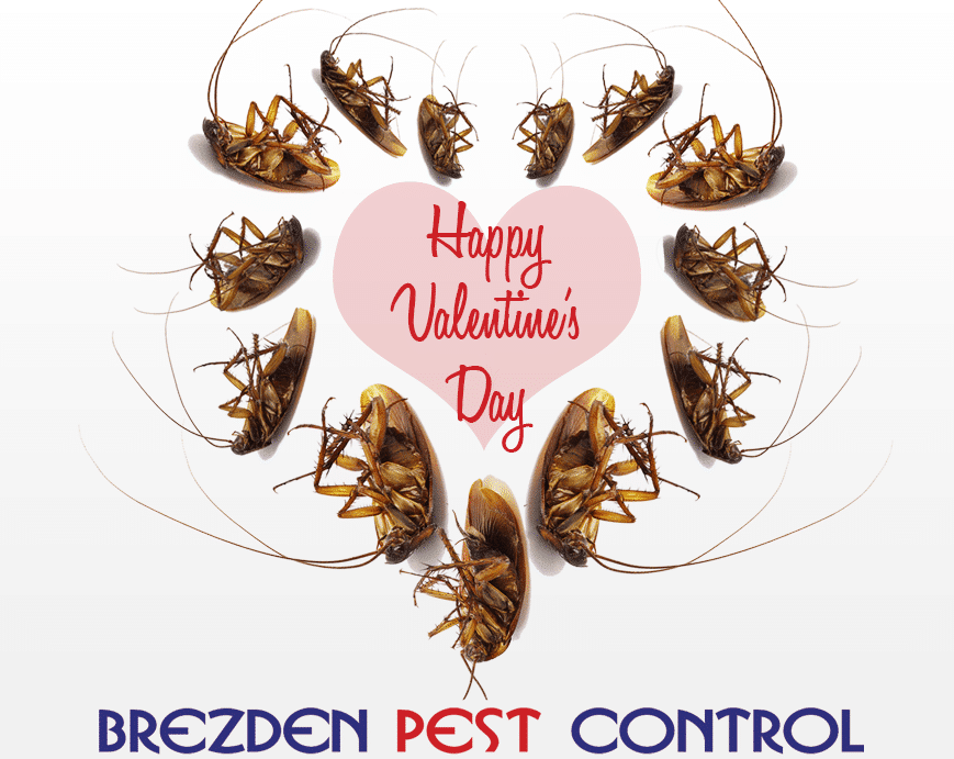Say No To Pests This Valentine’s Day In San Luis Obispo