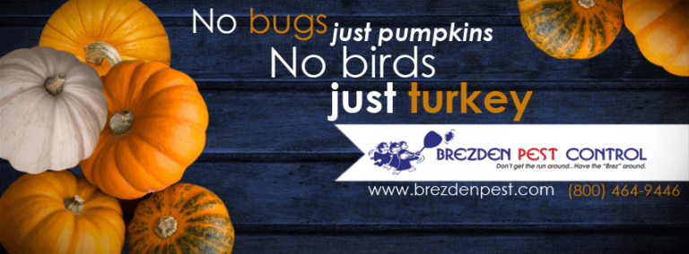 4 Tips To Keep Unwanted Guests Out This Thanksgiving