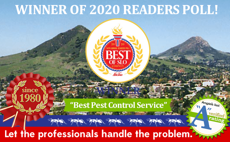 Brezden Pest Wins 1st Place “best Of Slo County 2020”