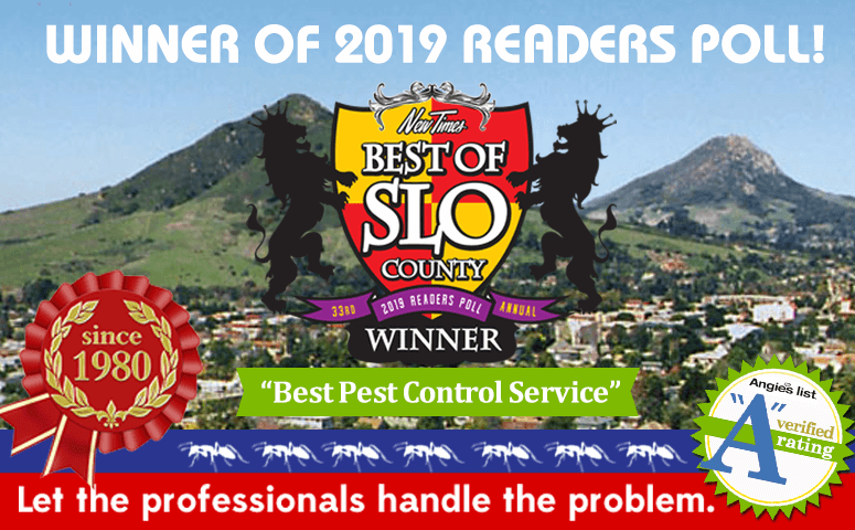 Brezden Pest Wins 1st Place “best Of Slo County 2019”
