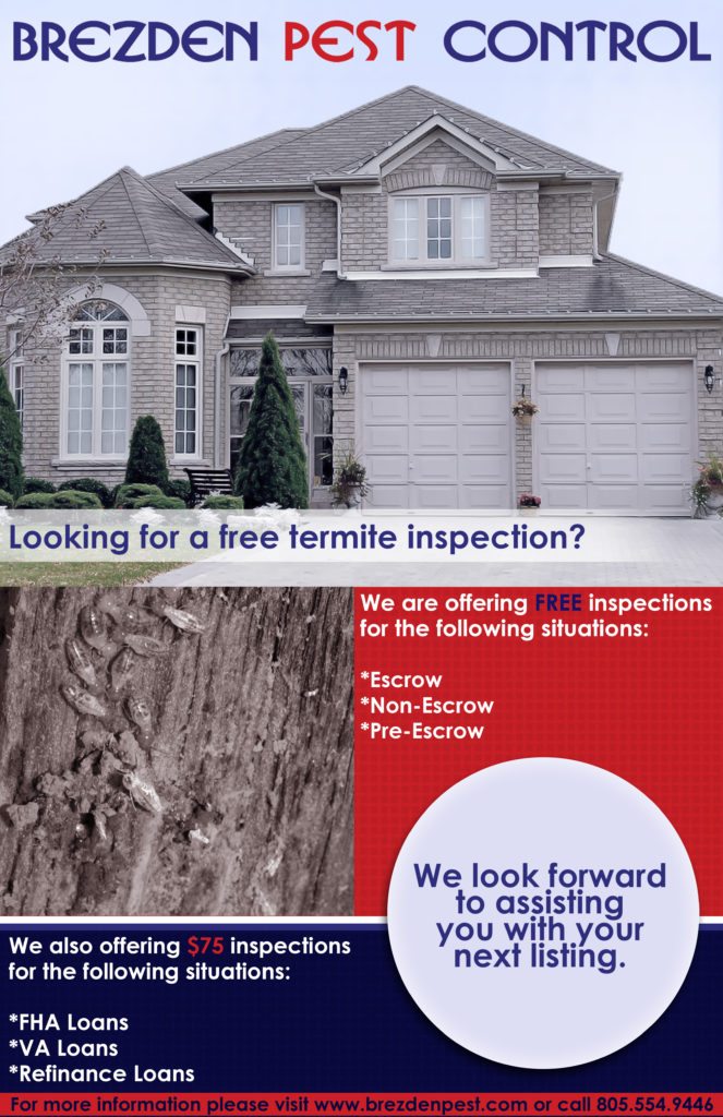 Free Termite Inspections Through August 31st