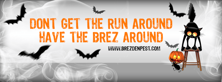 Happy Halloween From Brezden Pest Control