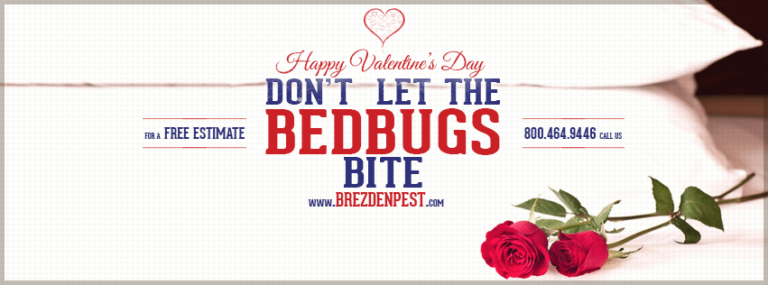 What’s Bugging You On Valentine’s Day?