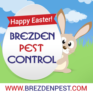 Easter Bunny Good – Easter Pests Bad!