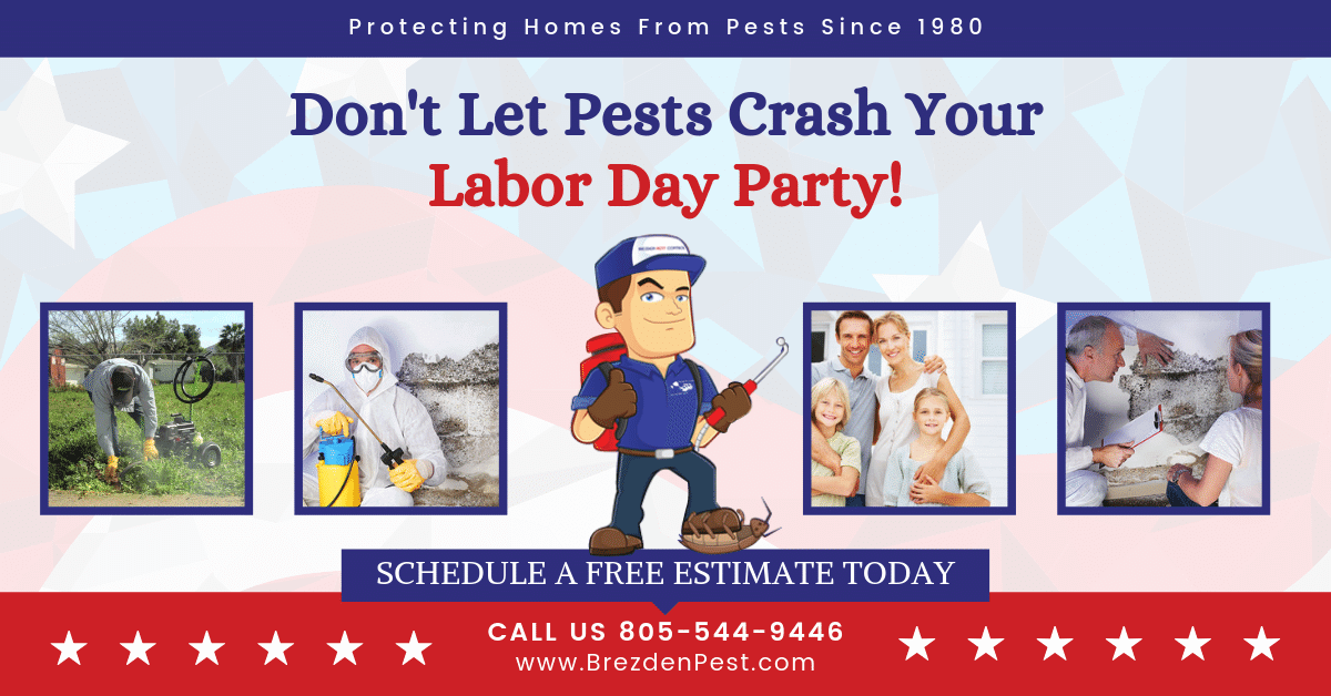Happy Labor Day Weekend From Your Local Pest Control Company