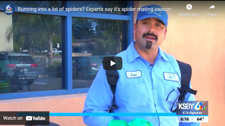 Ksby Interviews Brezden About Spiders