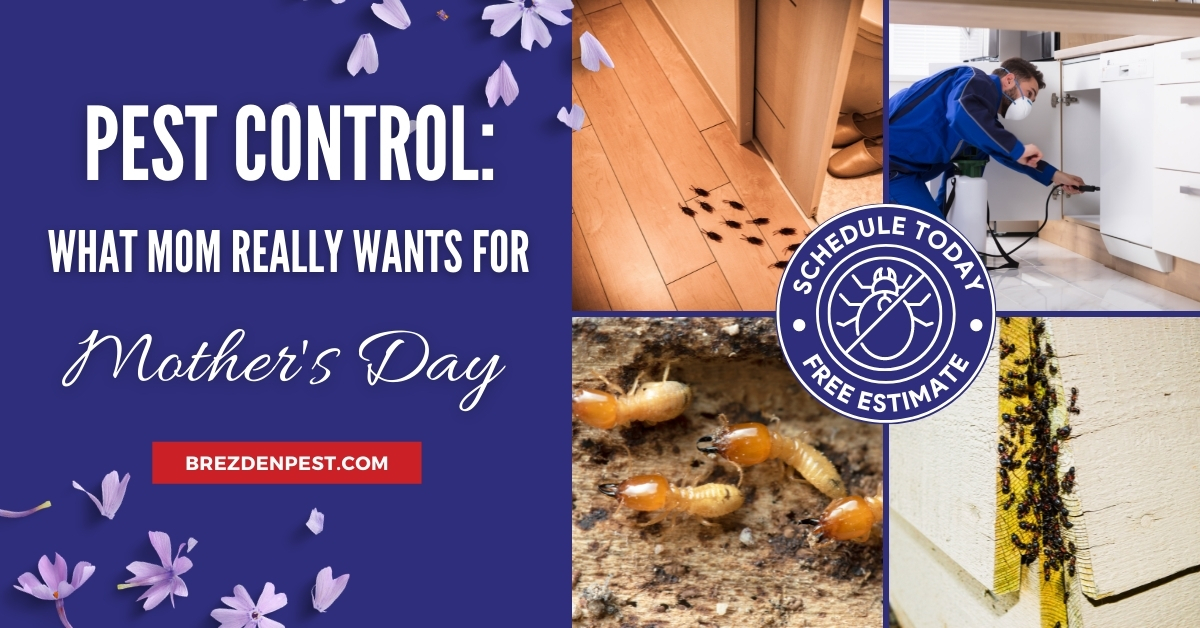 Pest Control: What Mom Really Wants For Mother’s Day