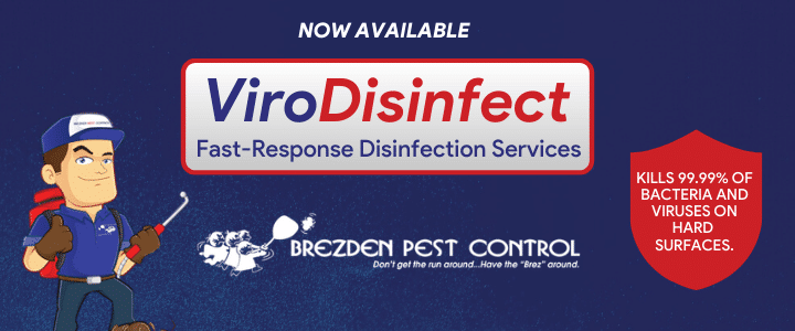 SLO Pest Control Company Launches Disinfection Service