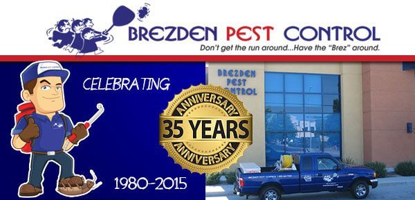 Brezden Pest Control Highlights 3 Realtors Specialized In Residential Sales