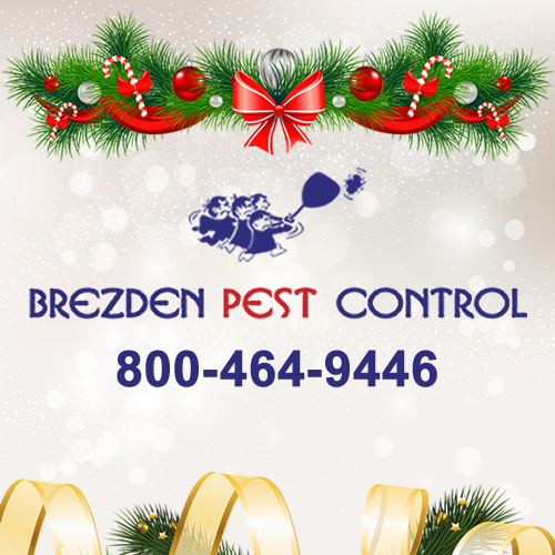 Happy Holidays From Brezden Pest Control