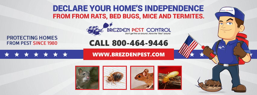 Don’t Let Pests Spoil Your 4th Of July Celebration.
