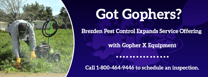 Get Rid Of Gophers With Brezden’s Gopher Eradication Equipment