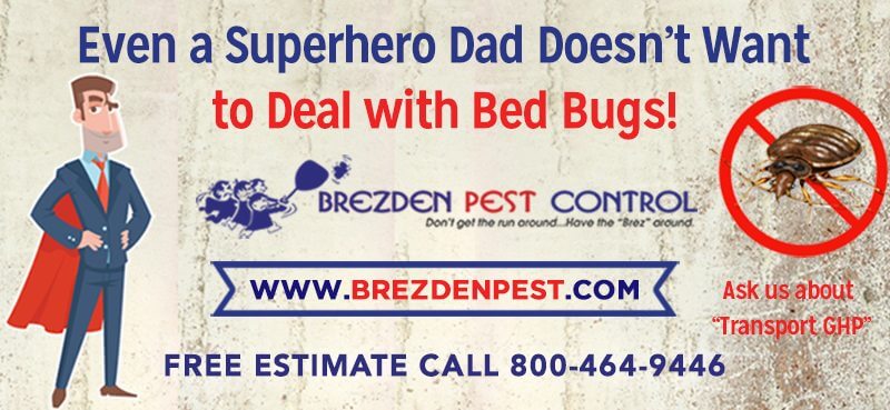 Don’t Let The Bed Bugs Bite Dad! Ask About Transport Ghp