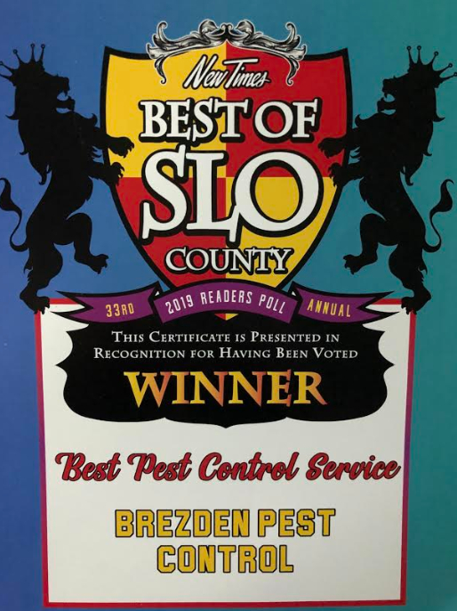 Brezden Pest Wins 1st Place “best Of Slo County 2019”