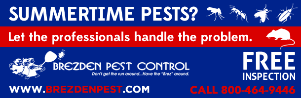 Here’s Why Summertime Pests Have All The Advantages…