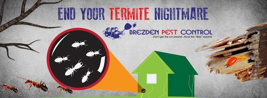 Don’t Let Pests Spoil Your 4th Of July Celebration.