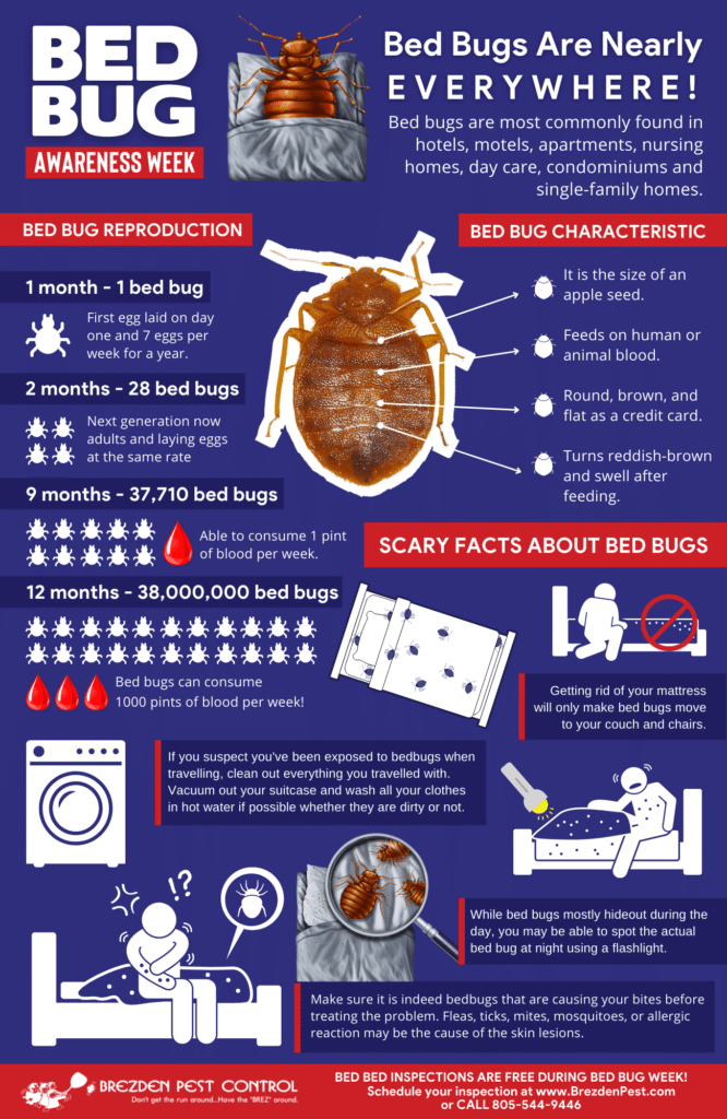 Bed Bug Bites: How To Get Rid Of Bed Bugs [infographic]