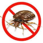 Bed Bug Bites: How To Get Rid Of Bed Bugs [infographic]