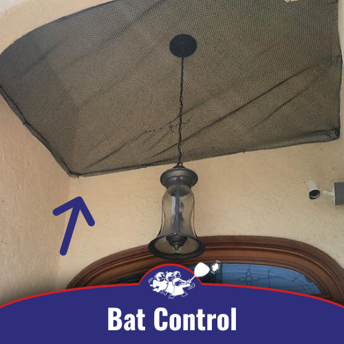 Bat Control