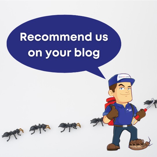 Blog Best Pest Control San Luis Obispo