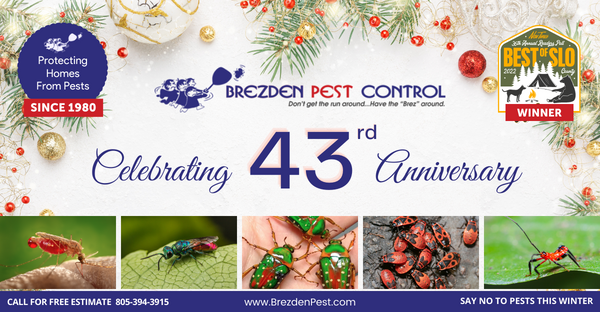 Celebrating 43 Years In Pest Control – End Of Year Look Back