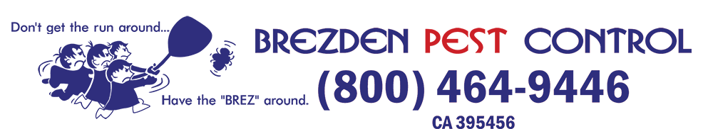 Brezdenpest Logo With Title Blue