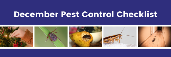 December Pest Control Checklist