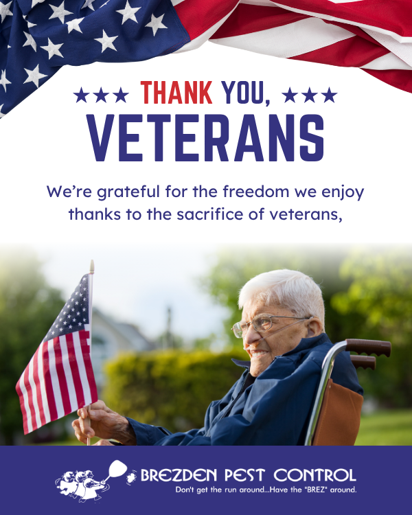 Thank You, Veterans - Honoring Service and Sacrifice