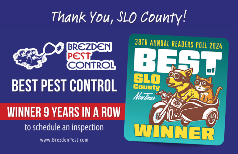Brezden Wins ‘Best Pest Control in San Luis Obispo’ 9th Year in a Row