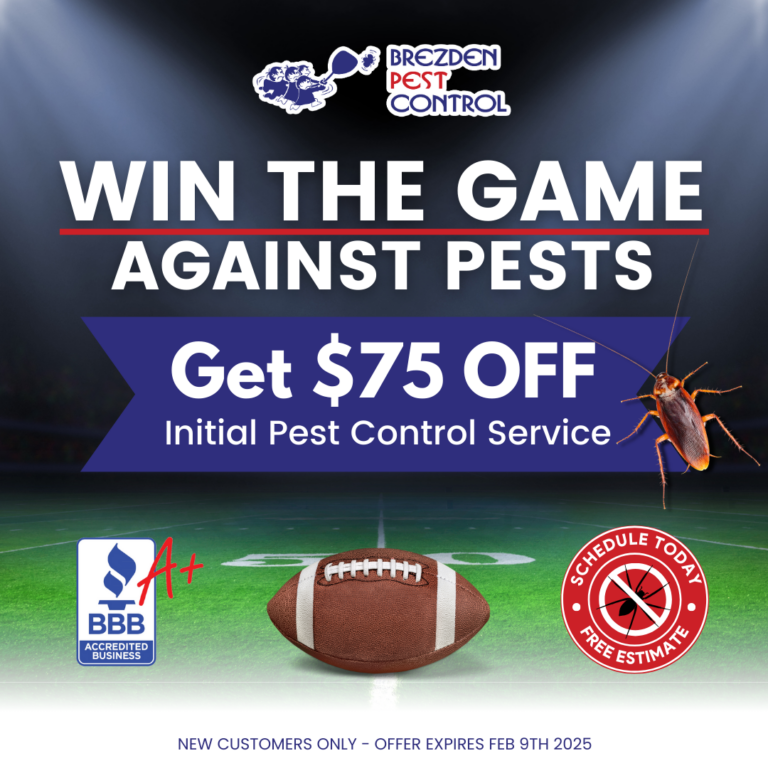 Slo Pest Control Service