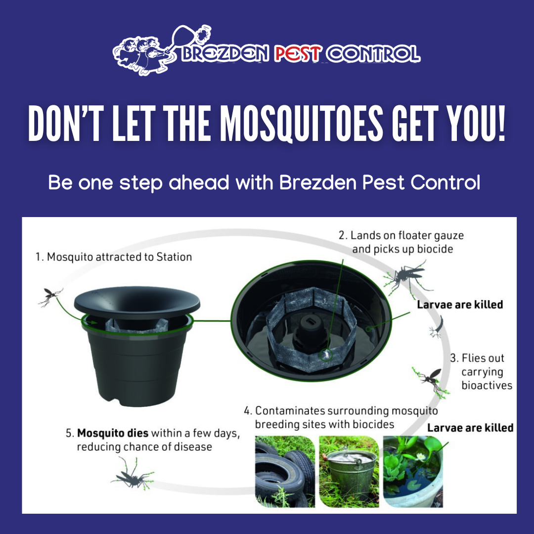 Mosquito Control Slo Brezden