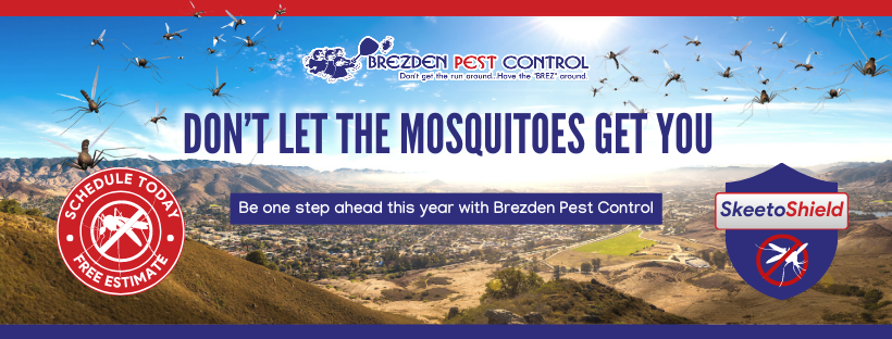 Mosquito Control Slo Brezden