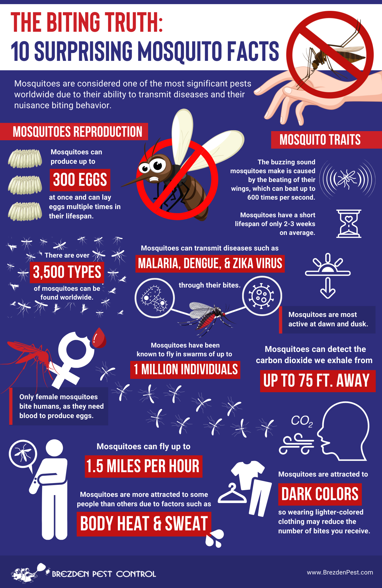Mosquitoe Control Infographic