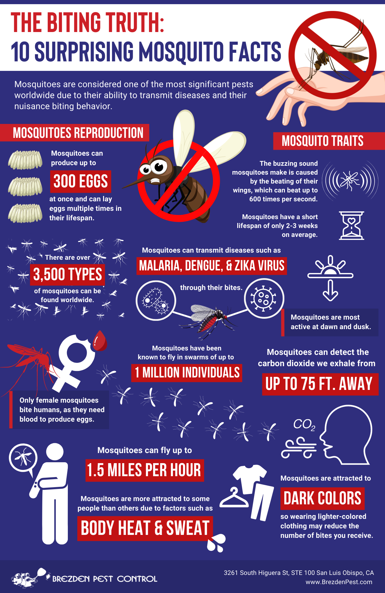 Mosquitoes Infographic
