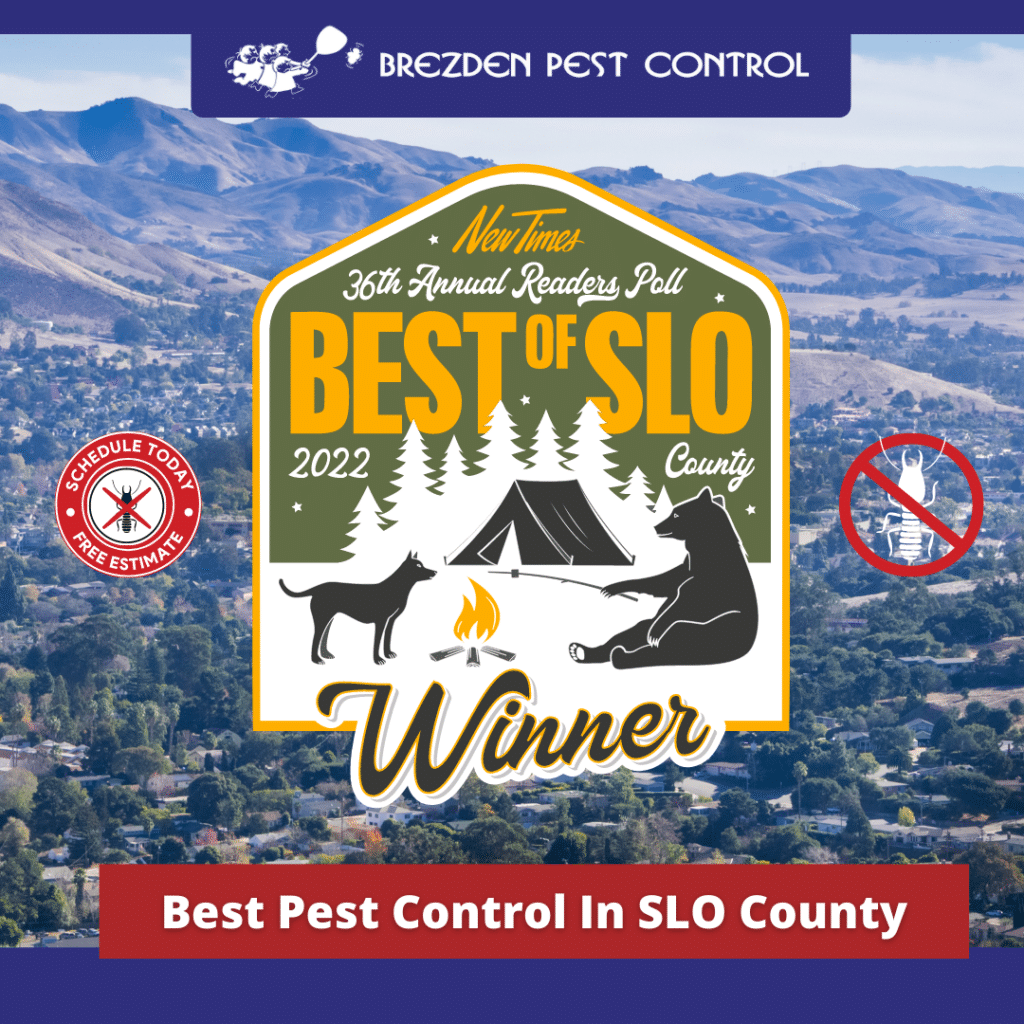 Best Pest Control in San Luis Obispo County - Winner of 2022 New Times Best of SLO 