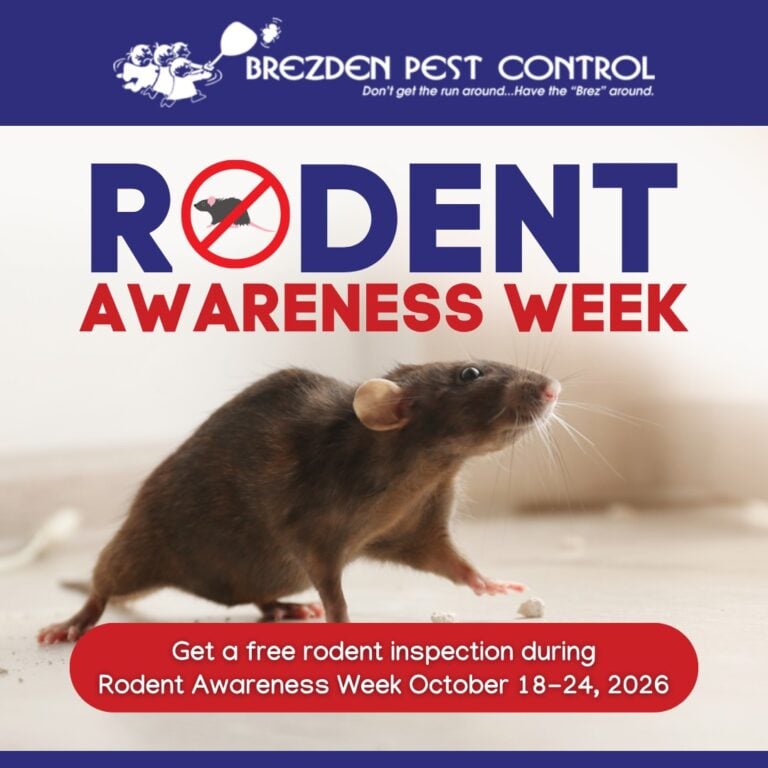 Rodent Awareness Week 2026 free rodent inspection from Brezden Pest Control in San Luis Obispo County, October 18 to 24