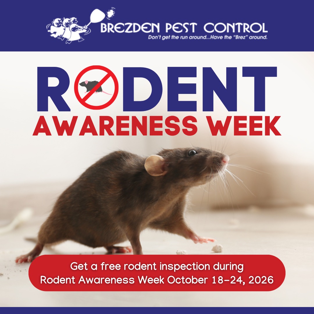 Rodent Awareness Week 2026 free rodent inspection from Brezden Pest Control in San Luis Obispo County, October 18 to 24