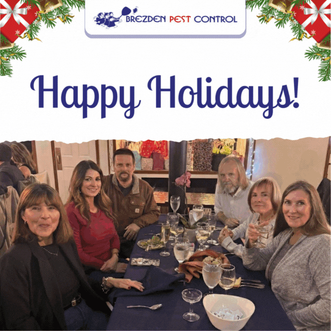 Warmest Wishes from the Brezden Family to Yours