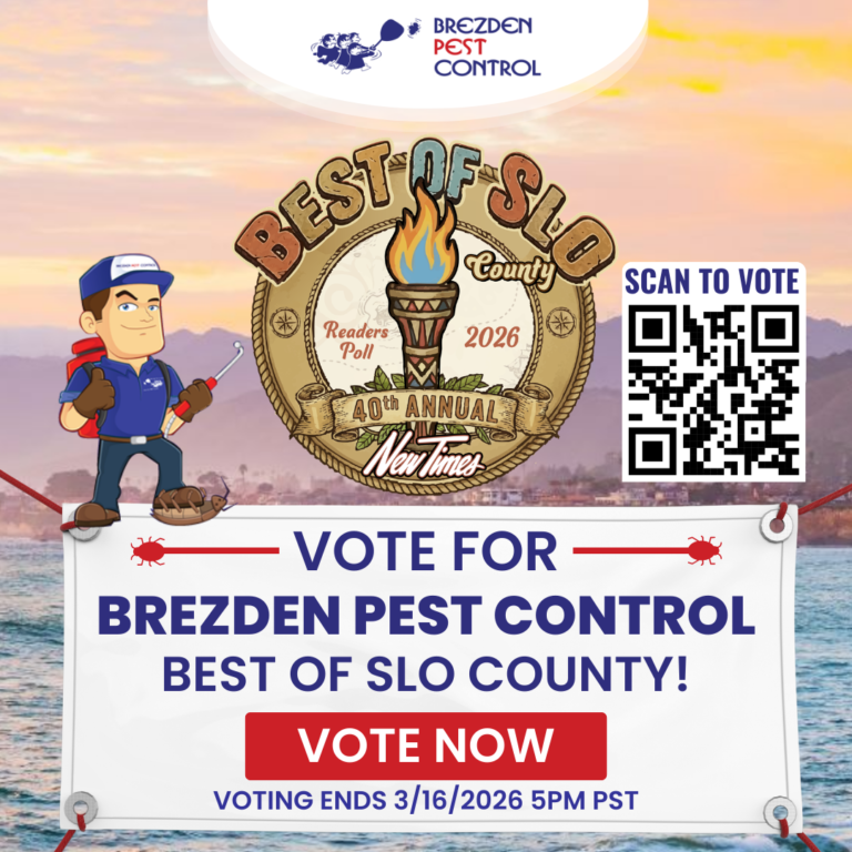 Social Best Of Slo Brezdenpest Kh